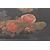 Grande vassoio in metallo - O/1105 -