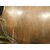 PAN407 - Scudo antico in noce, datato 1756, misura cm L 84 x H 110 