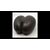 Cocco di Mare Coco fesse enorme seme proveniente dalle Seychelles