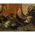 Cerchia di Pietro Neri Scacciati (Firenze, 1684-1749), Natura viva con cortile e volatili