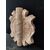 Stemma fascista in travertino - 30 x 36 cm - Roma