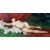 Nudo di donna con drappo rosso