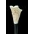Bastone con pomolo in avorio inciso con motivi floreali,rocaille e scudo.