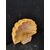 Acquasantiera in marmo giallo reale - 30 x 30 cm - Venezia
