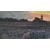 ENRICO COLEMAN (Roma 1846- 1911) “Tramonto sull'Agro Pontino".
