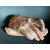 &quot;HAND&quot; SCULPTURE SIGNED BY K. KOLLER - BEGINNING &#39;900     
