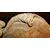  DARS642 - Conchiglia scolpita in marmo Barocca, misure cm L 68 x P 38 x H 10 