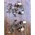 coppia di appliques