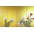 Paraventi Giapponesi - Japanese Folding Screens