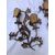 coppia di appliques