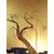 Paraventi Giapponesi - Japanese Folding Screens