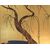 Paraventi Giapponesi - Japanese Folding Screens