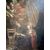Annunciation Giovan Paolo Cavagna (attr.a)     