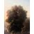 Oil painting on canvas, view of the Roman countryside with characters     