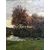 Oil painting on canvas depicting landscape, painter: Mengotti     