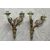 Couple of bronze gilt appliques with two lights     