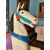 Bellissimo cavallo da giostra