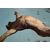 Olio su tela Deep Blue  il nudo Filippo Manfroni 