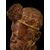 Grande Scultura Lignea dell'800: Testa di Africano con Decori Dorati