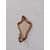 Specchiera applique in legno dorato-stile luigi XV- da muro- primi 900