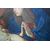 XIX secolo, da Guido Reni Madonna con il Bambino dipinto olio su tela