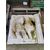 Leone di San Marco con motto in Marmo Botticino - Serenissima - " Ti con nu, nu con ti" - 85 x 85 cm - Venezia