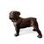 Cane Bulldog in bronzo