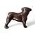 Cane Bulldog in bronzo