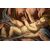 "Sacra Famiglia"