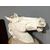 Grande Testa di Cavallo, gesso