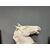 Grande Testa di Cavallo, gesso