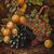 J. Clays (British, XIX-XX sec.) - Natura morta con cesto di frutta.