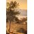"Vista su Cannes" firmato J.D olio su cartone XIX sec.