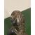 Antica scultura  vescovo epoca XVII sec castagno . Altezza 34 