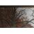 Antico  raro dipinto bifacciale acquerello XIX paesaggio  con cornice antica . cm 50 x 40 