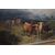 Antico Dipinto paesaggio con mucche Olio Su tela Gibb  Thomas Henry 1887. Mi 106 x 76 