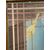 Acquarello Pier Canosa Arte moderna XX sec con autentica mis 87 x 66