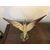 uccello in vetro
