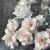 QUADRI ANTICHI, NATURA MORTA CON FIORI DI ROSE, OLIO SU TELA, ART DECO, XX SECOLO. (QF614)