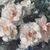 QUADRI ANTICHI, NATURA MORTA CON FIORI DI ROSE, OLIO SU TELA, ART DECO, XX SECOLO. (QF614)