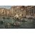 Coppia dipinti Giuseppe Ponga . 1854 / 1925
