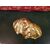 Golden metal shell sculpture casting     