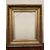GOLDEN FRAME     