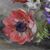 DIPINTI DI FIORI ART DECO, ANEMONI E MARGHERITE, DANSET GEORGES, OLIO SU TELA, QUADRI ANTICHI, XX SECOLO. (QF622)