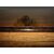 INLAYED THREE-DOOR SIDEBOARD     