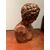 Grande Busto di "APOLLO" in terracotta