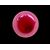 Vaso in vetro:opalino color rosso amaranto.Venini Murano.