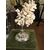 Corallo bianco su base bellissima argento del 1700 h 45 cm