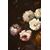 Natura morta di fiori (VENDUTO)