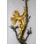Coppia di grandi candelabri a quattro luci in legno laccato e dorato, Genova, XIX secolo